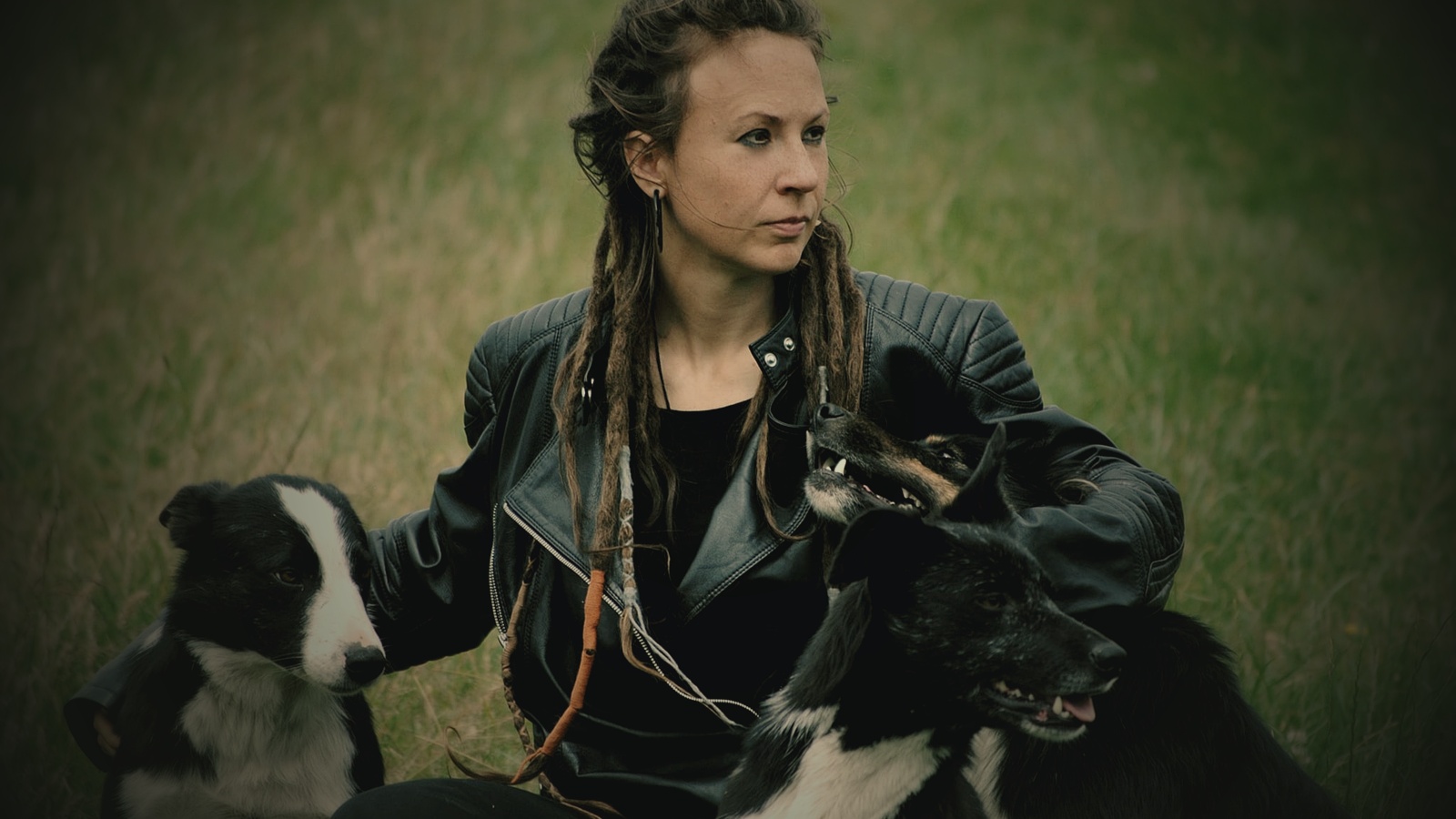 Sitting in a field with her border collies