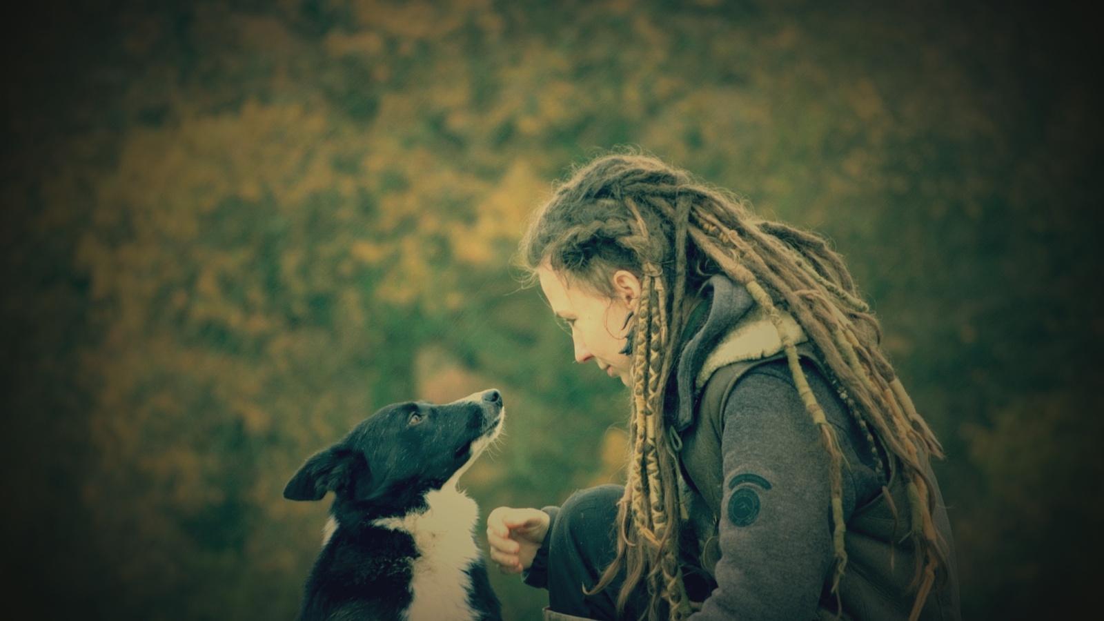 Tímea Kovács facing a border collie in an autumn forest setting
